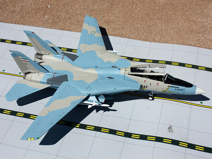    F-14A Tomcat  