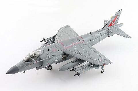Модель самолета BAe Sea Harrier FA.2 Модель самолета BAe Sea Harrier FA.2