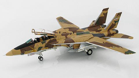 Модель самолета  Grumman F-14AM Tomcat